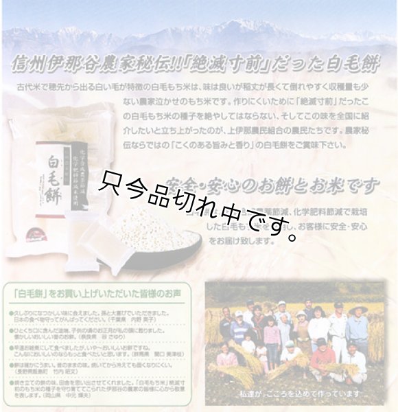 画像2: 白毛餅 (2)